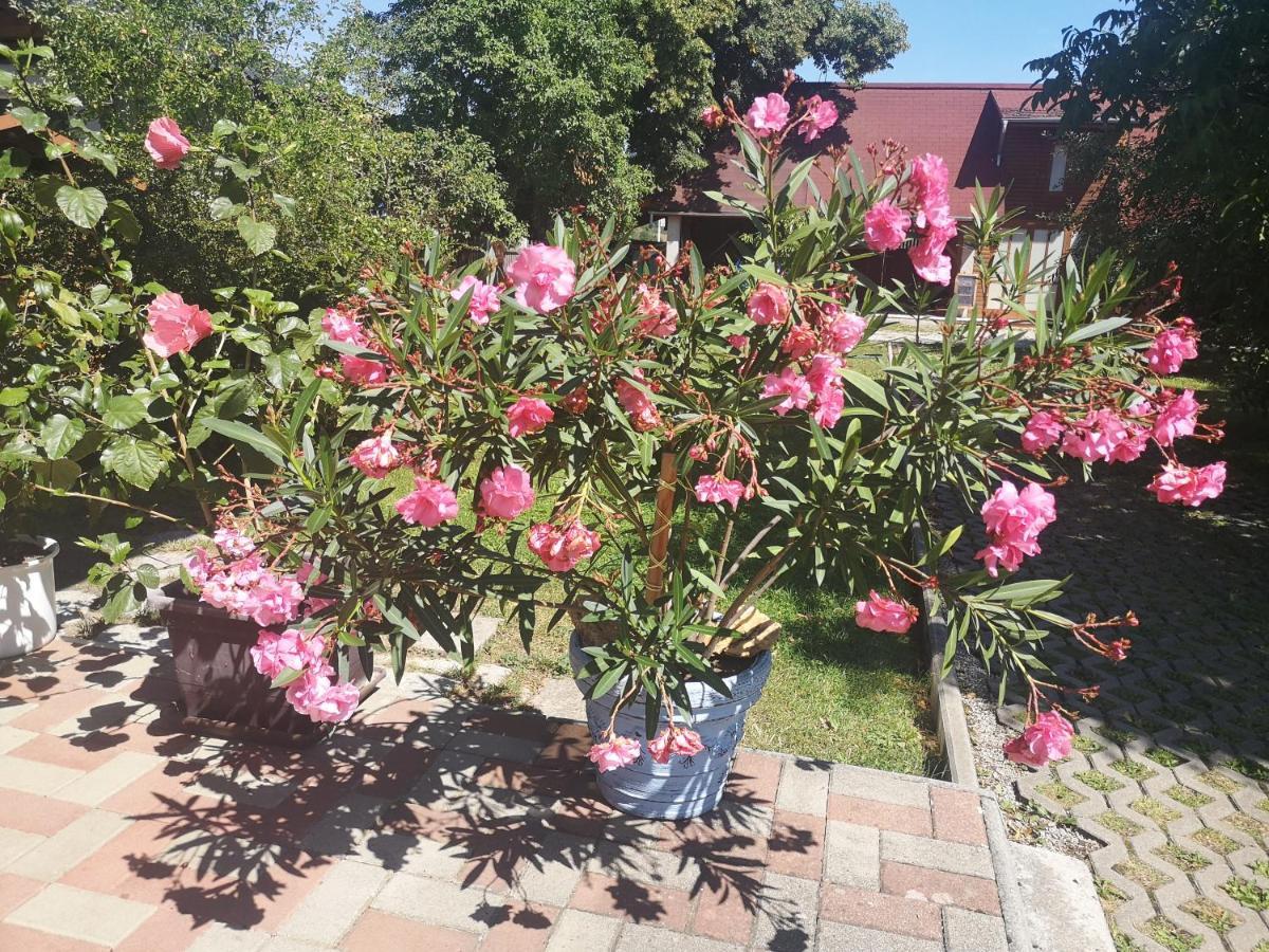 Vcielka Appartement Bešeňová Buitenkant foto